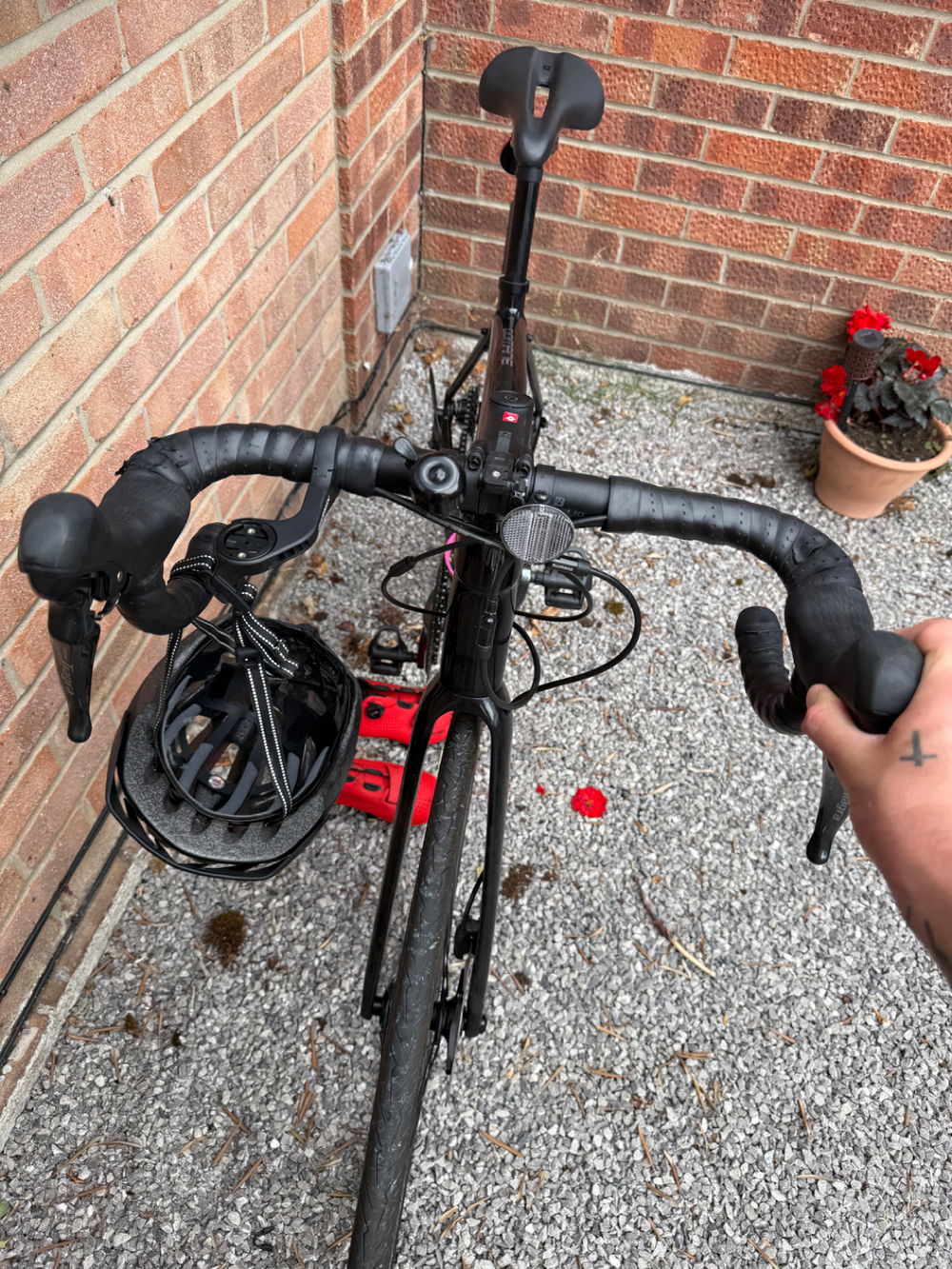 Trek Domane AL 4 Disc 2021