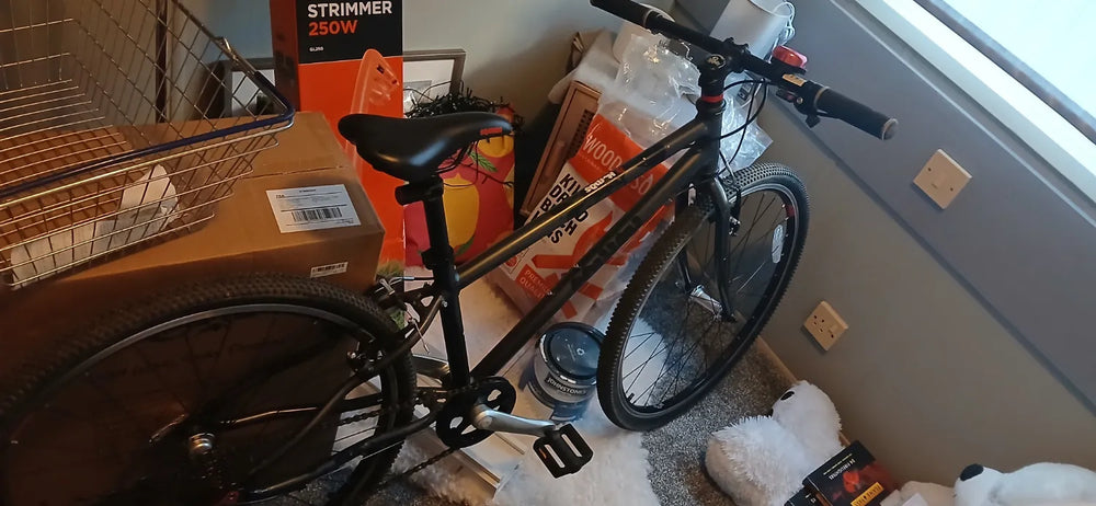 Squish 26 (13 inches) 2025