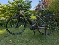 Kalkhoff ENDEAVOUR 1.B MOVE Comfort 2020