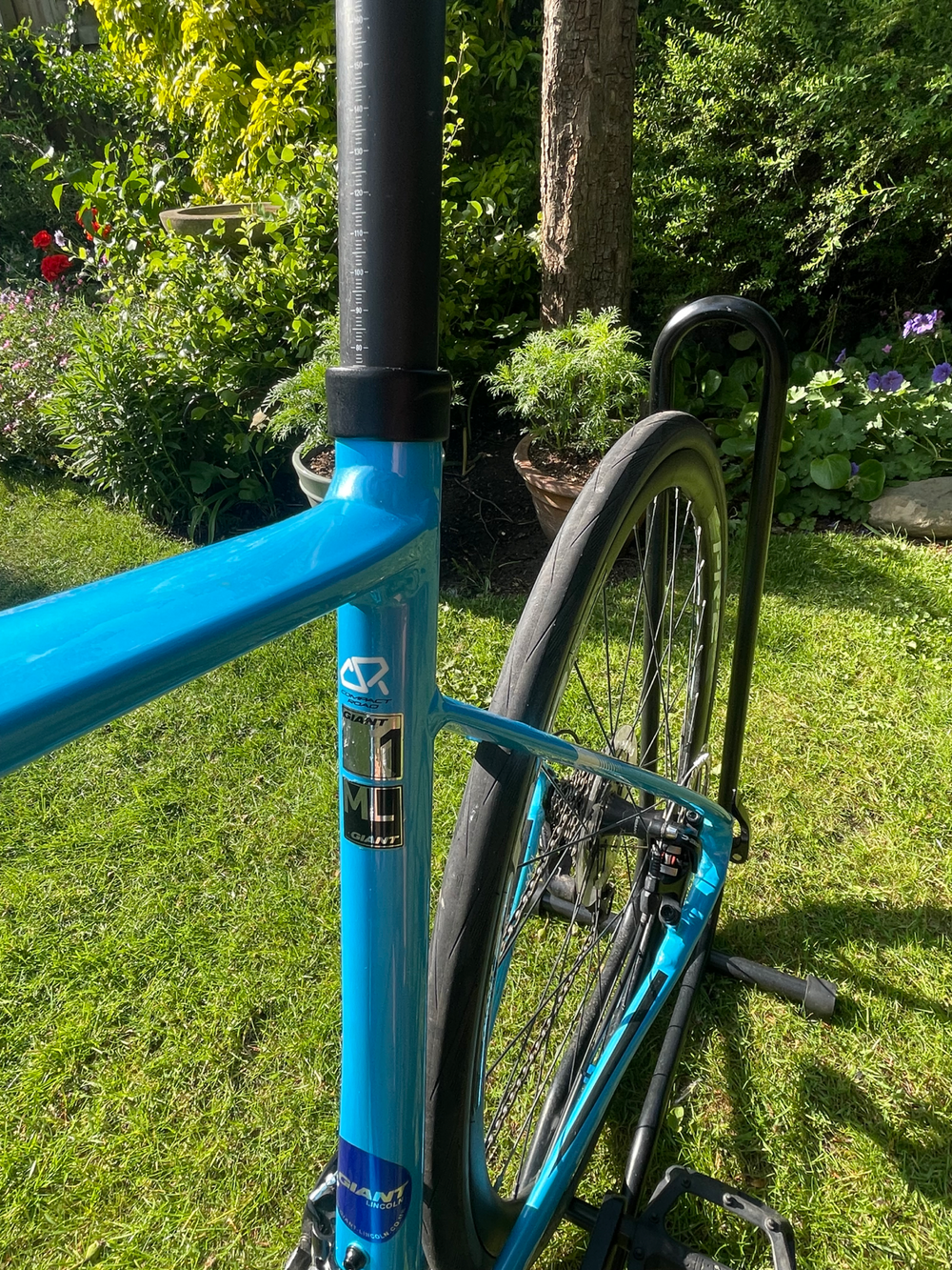 Giant Defy 1 Disc 2016