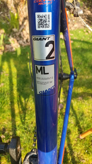 Giant Contend 2 Road 2017