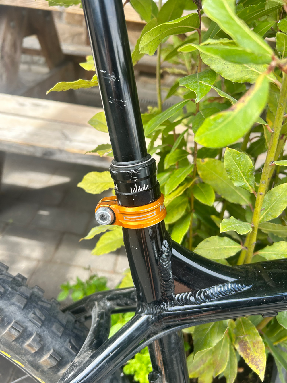 Vitus Venon 2022