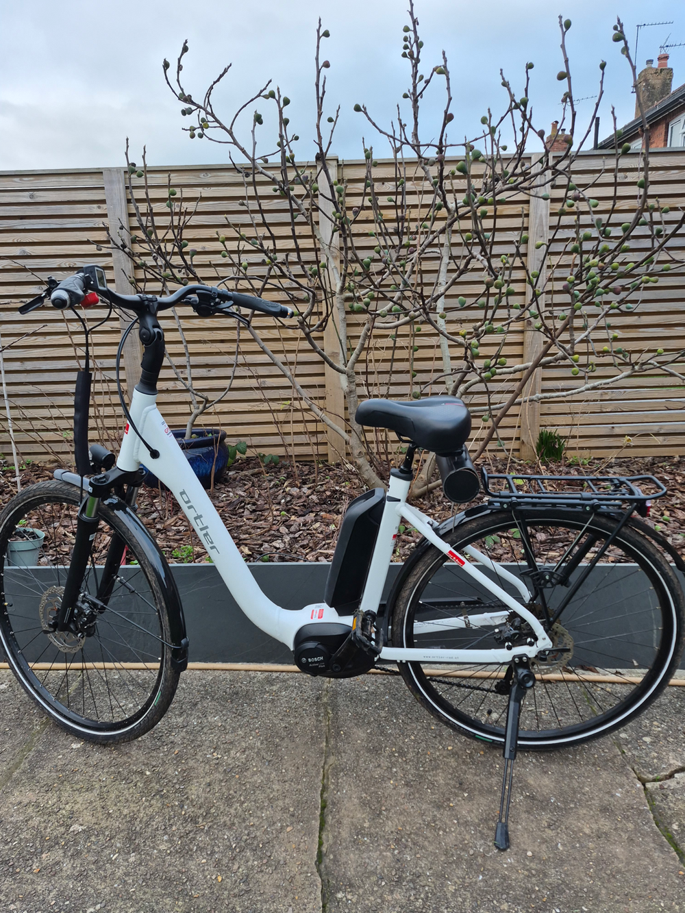 ORTLER (Germany) Ortler Bozen Wave 2021