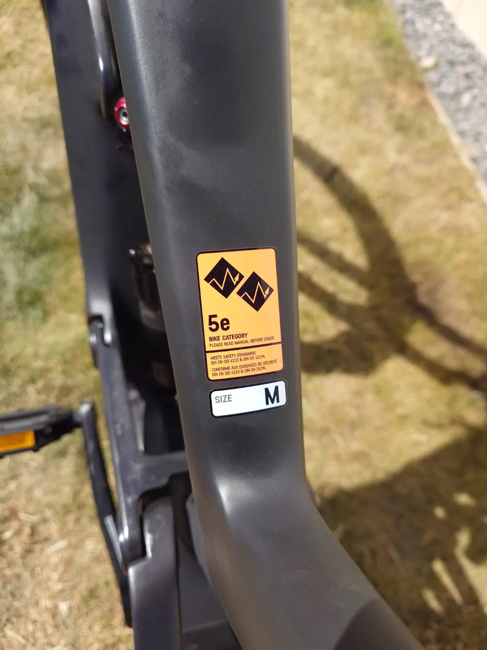 Canyon Torque CF 8 2023