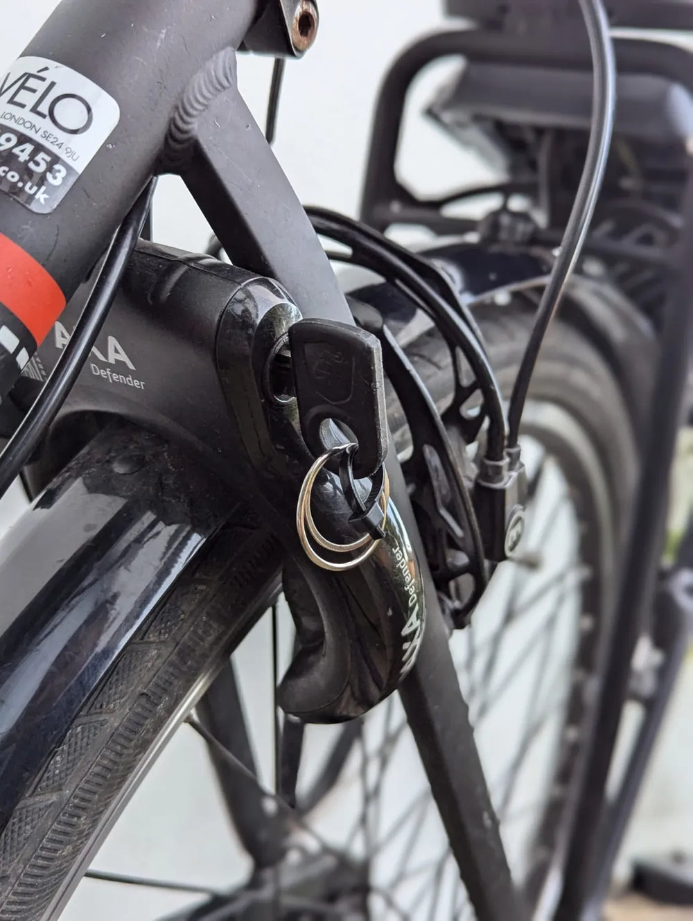 Gazelle Paris C7+ HMB High-Step 2022