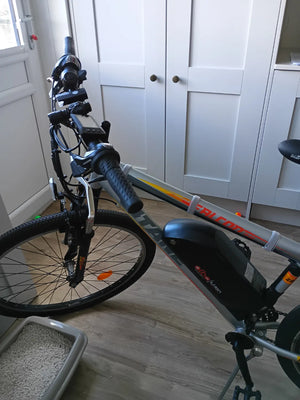 Gitane Falcon  2022