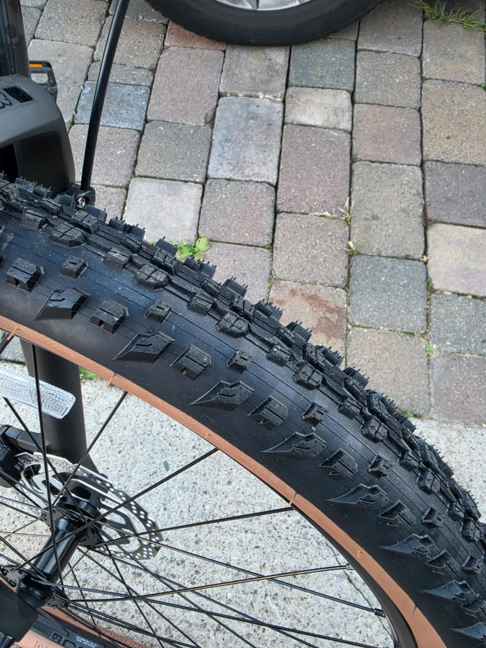 Trek Marlin 5 Gen 3 Mulsanne 2026