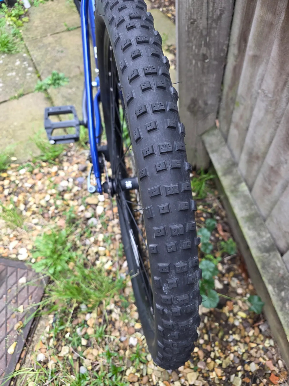 Marin Bolinas Ridge 1 2024