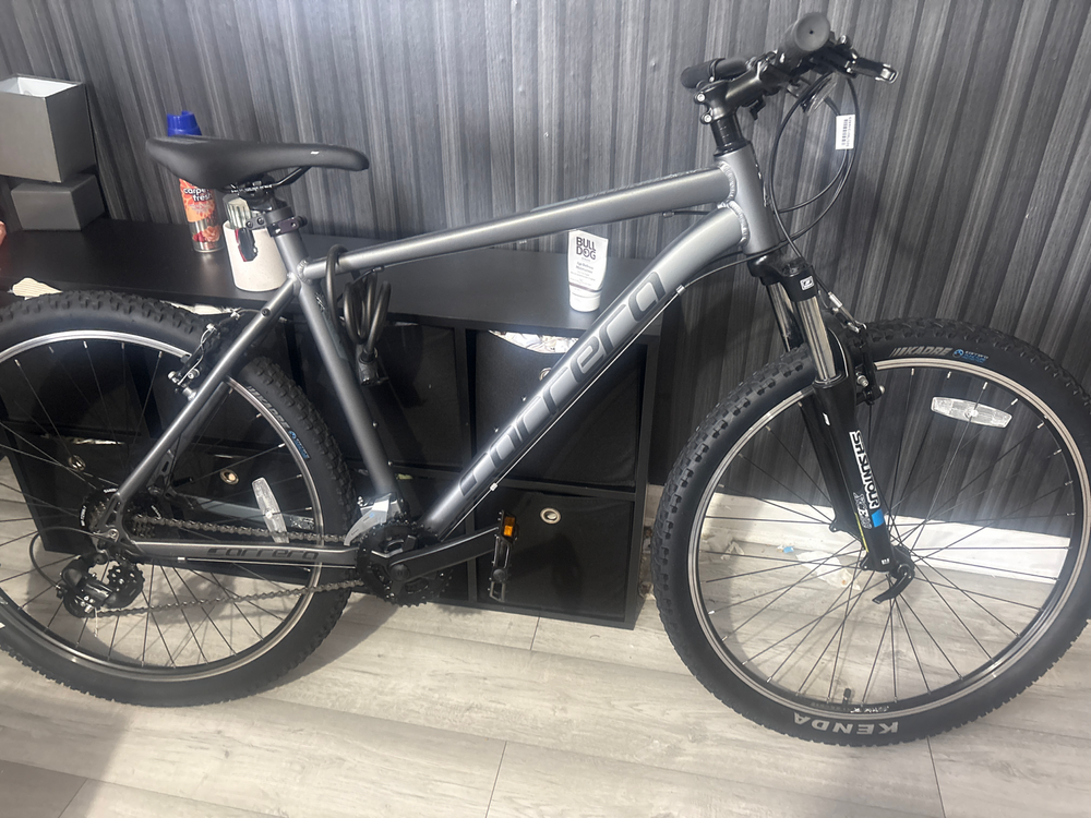 Carrera Valour Disc 2026