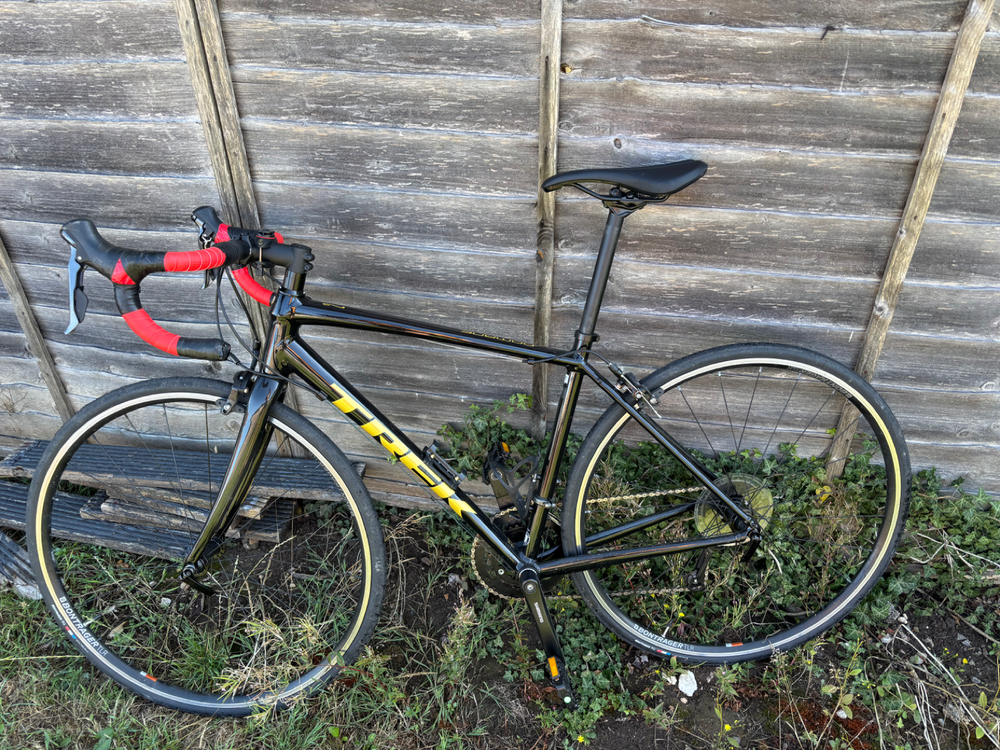Trek Domane AL 2 2024