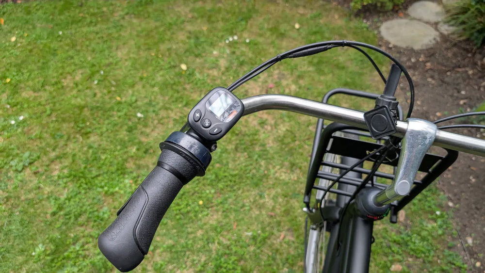 Gazelle PuurNL HFB 2021