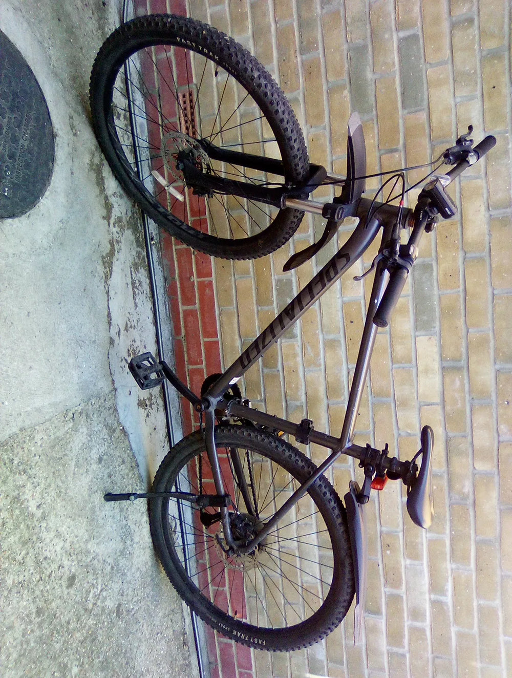 Specialized Rockhopper 29 2017