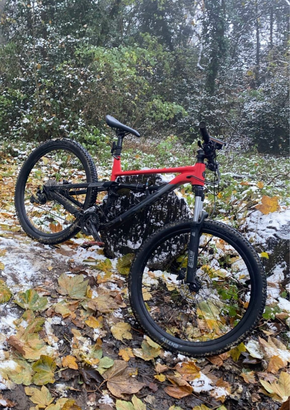 Polygon SISKIU D5 2023