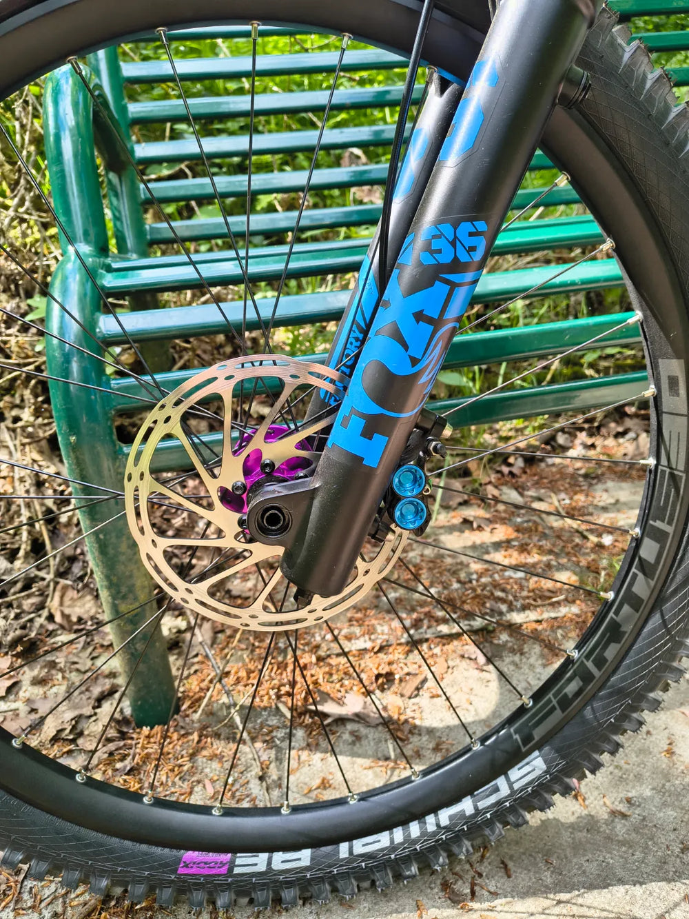 Ragley Blue Pig 27 5 2023