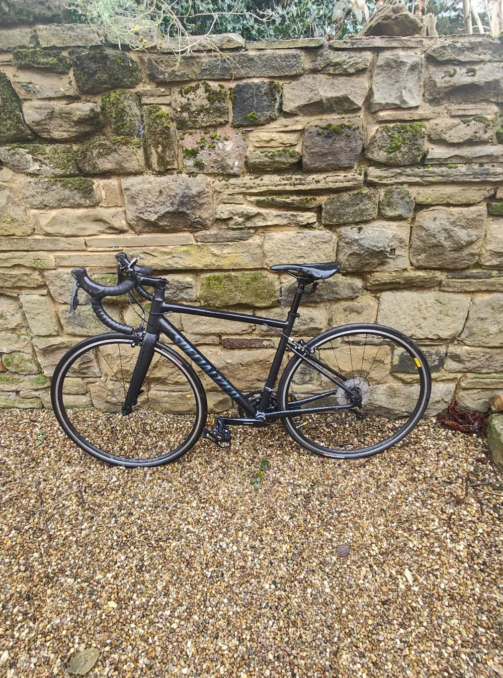 Specialized Allez 2021