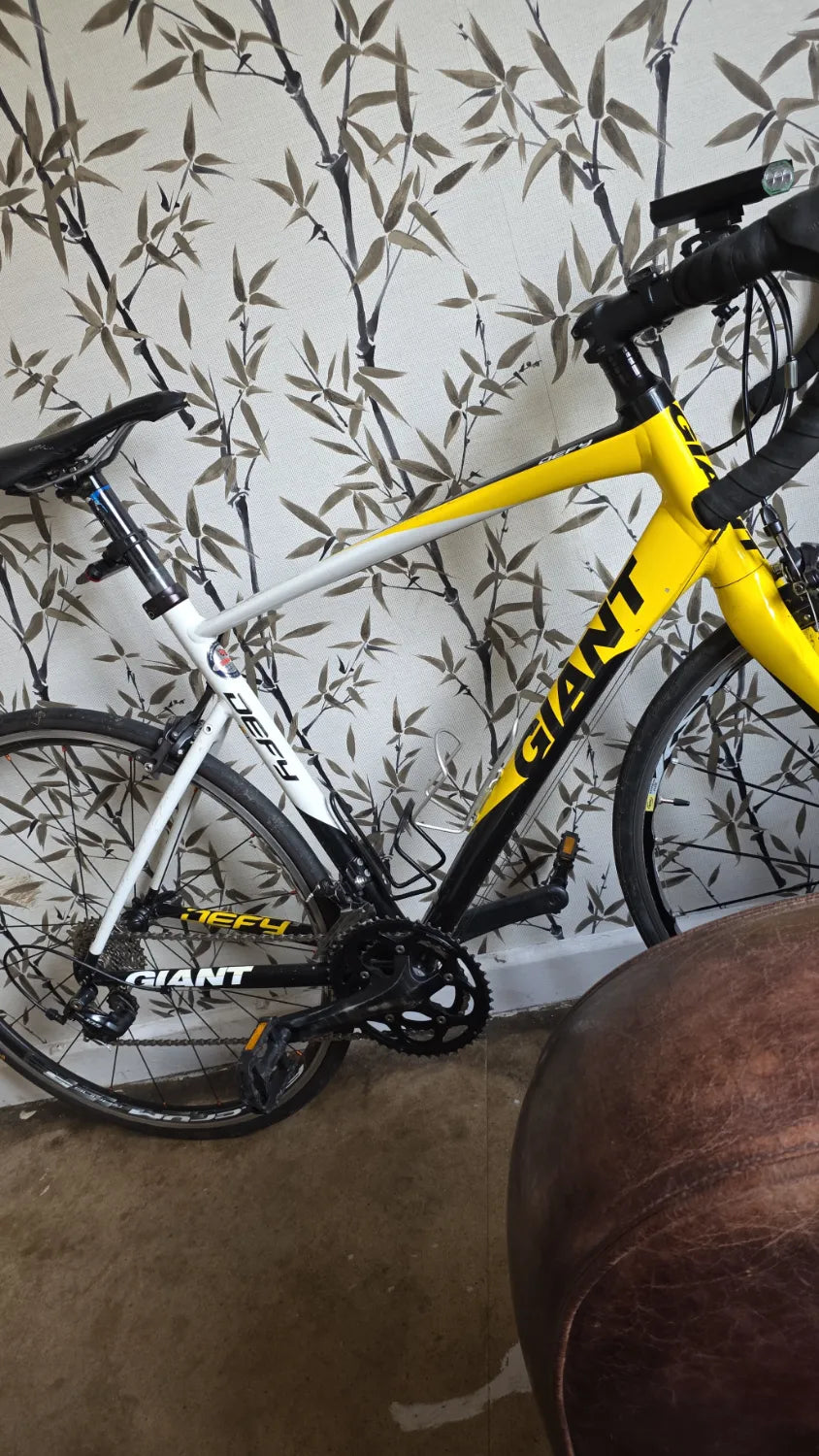 Giant Defy 1 2010