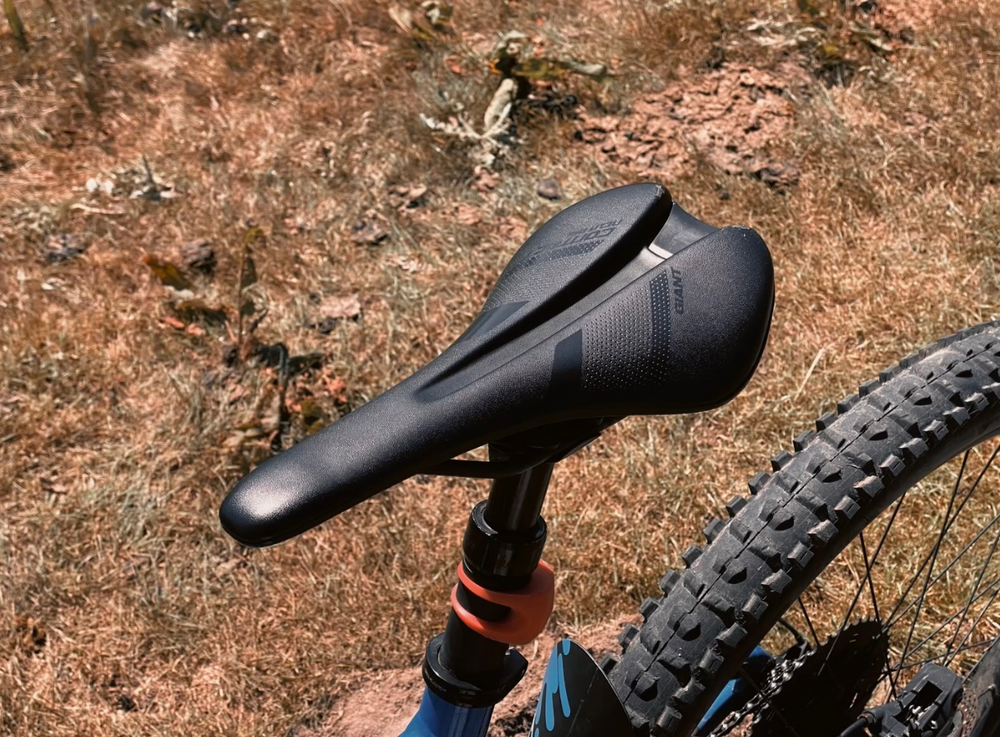 Giant Trance 29 2 2019