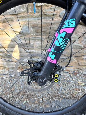 Marin Alpine Trail 1 2025