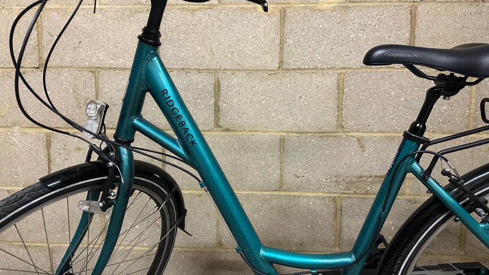 Ridgeback Avenida 7 2024