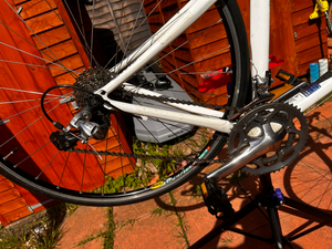 Giant TCR c3 2010