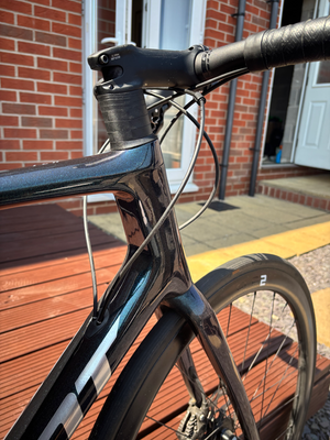 Giant TCR 2 2024