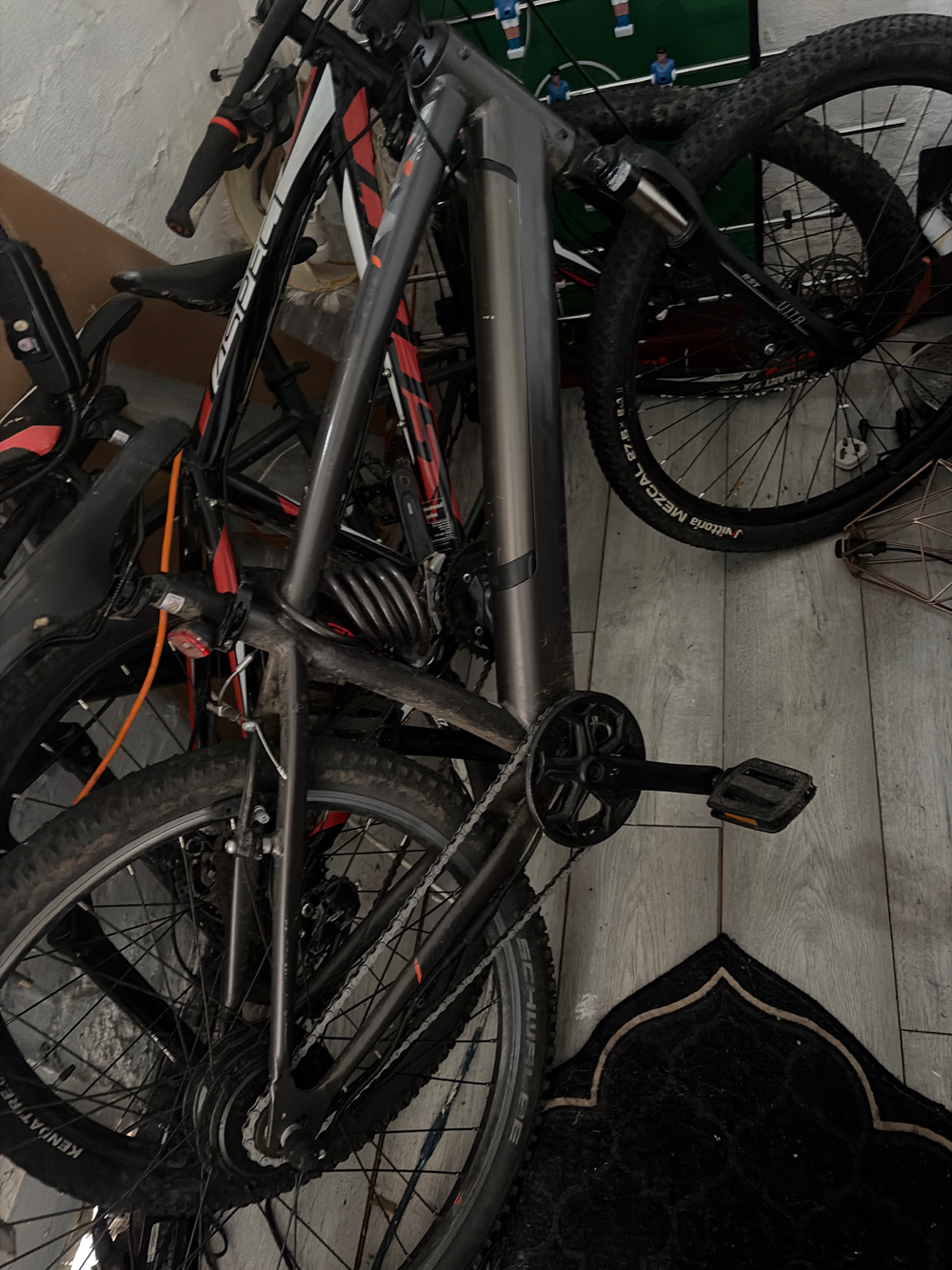 Carrera impel im 2022