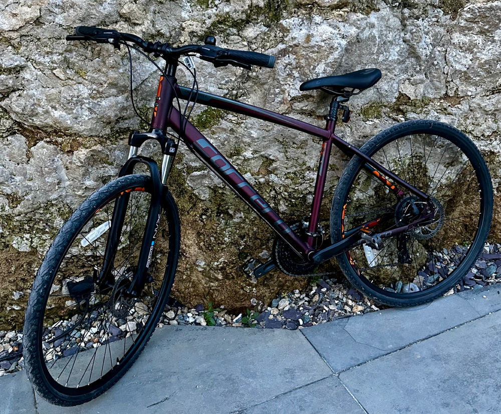 Carrera 2.0 Hybrid, 20inch ladies bike 2022
