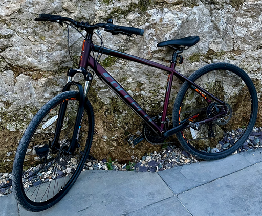 Carrera 2.0 Hybrid, 20inch ladies bike 2022