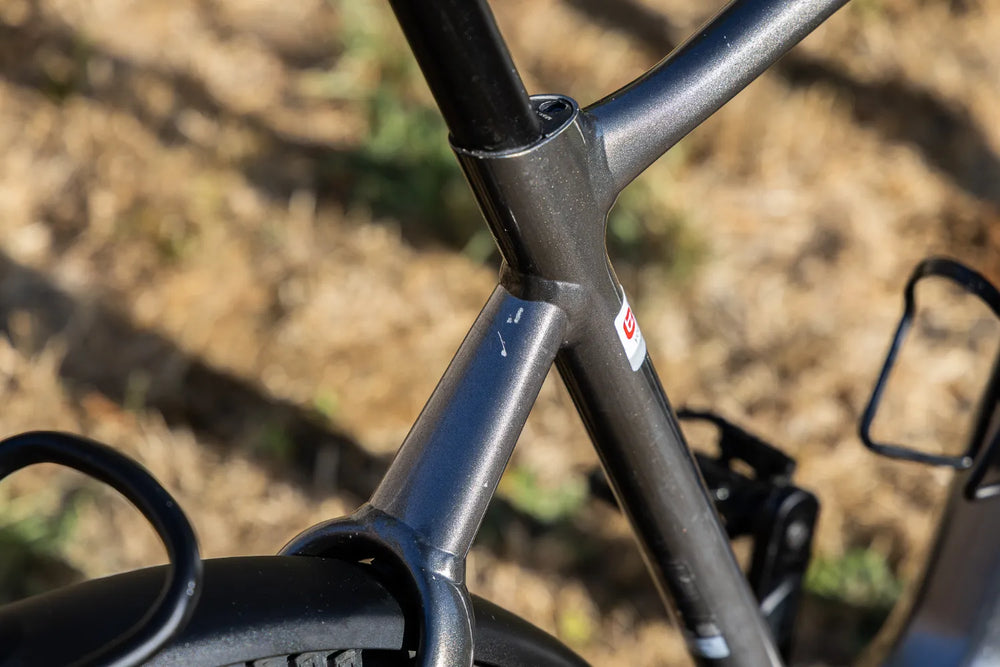 Giant Anytour E+ 2 2021