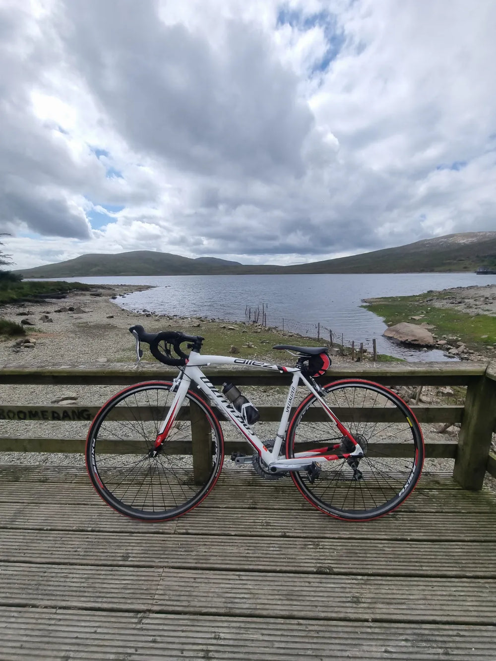Specialized  Allez Elite 2013