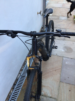 Giant Talon E+ 29er 2024