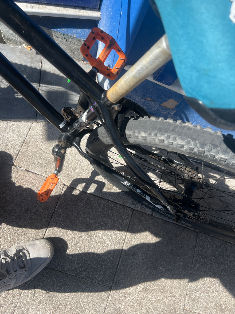Specialized P.26 2015