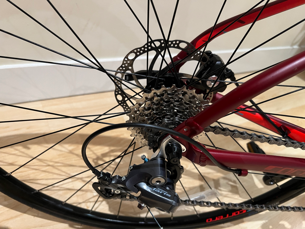 Carrera Vanquish 2020