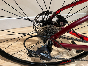 Carrera Vanquish 2020