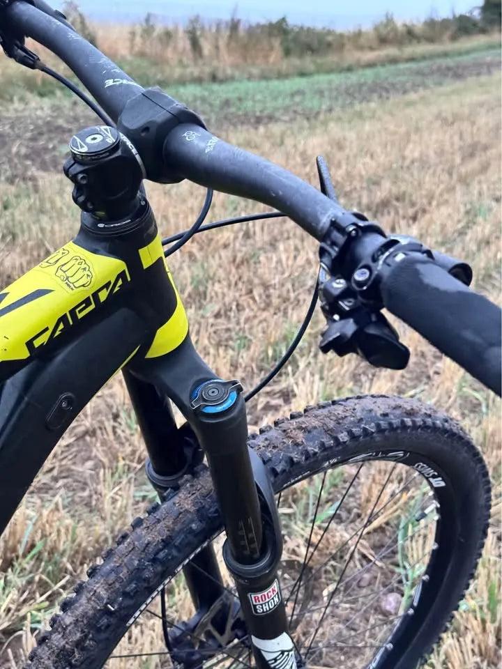 YT Industries YT Capra AL 2017