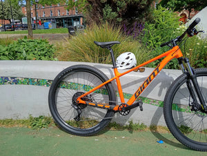 Giant Talon 2 - 29 Wheel - Pure 2025