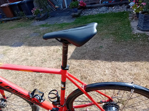 Lapierre Esensium 300 2022