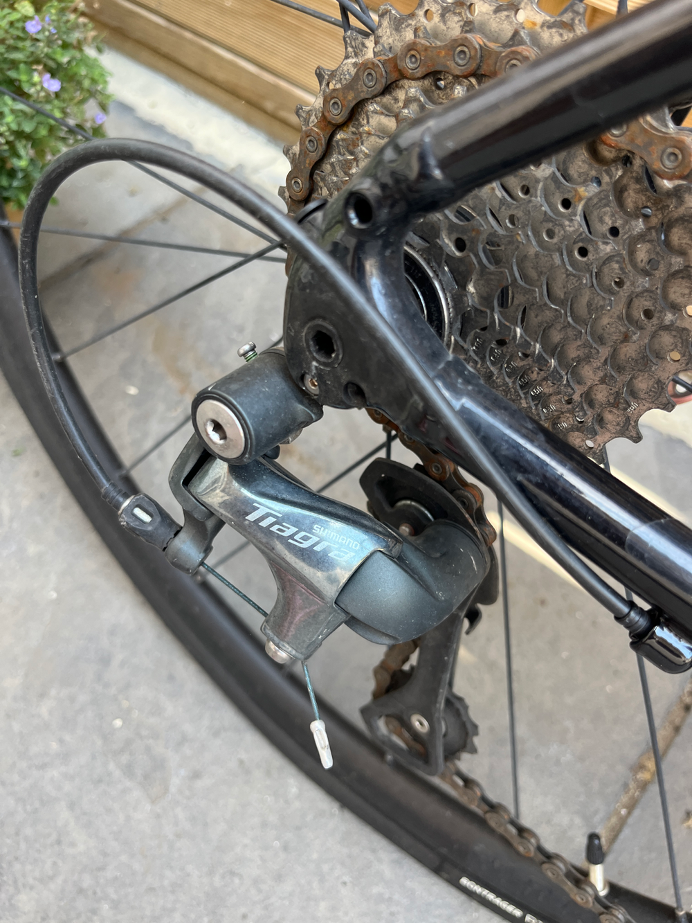 Trek Domane AL 4 Disc 2023