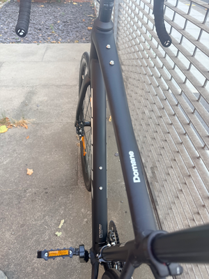 Trek Domane AL 2 Gen 4 Road 2027