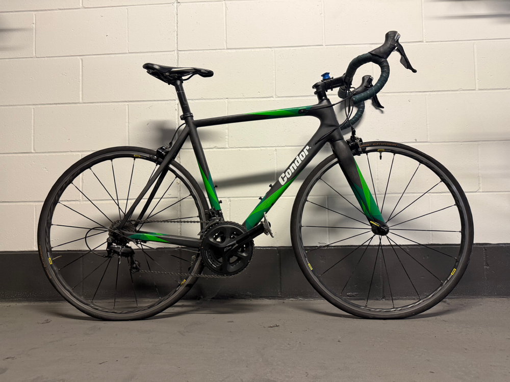 Condor Potenza