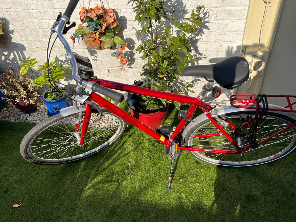 Raleigh Pioneer 2 2015