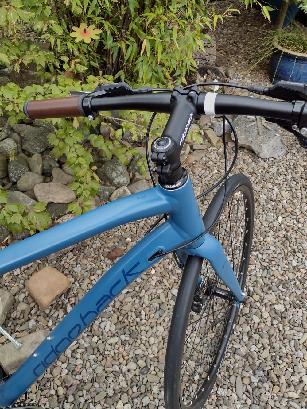 Ridgeback Flight 4.0 2019
