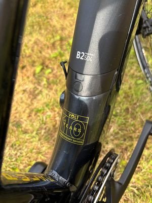 Volt Pulse Ls 2024