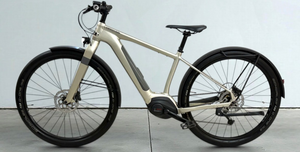 Cannondale Canvas Neo 2.0 2021