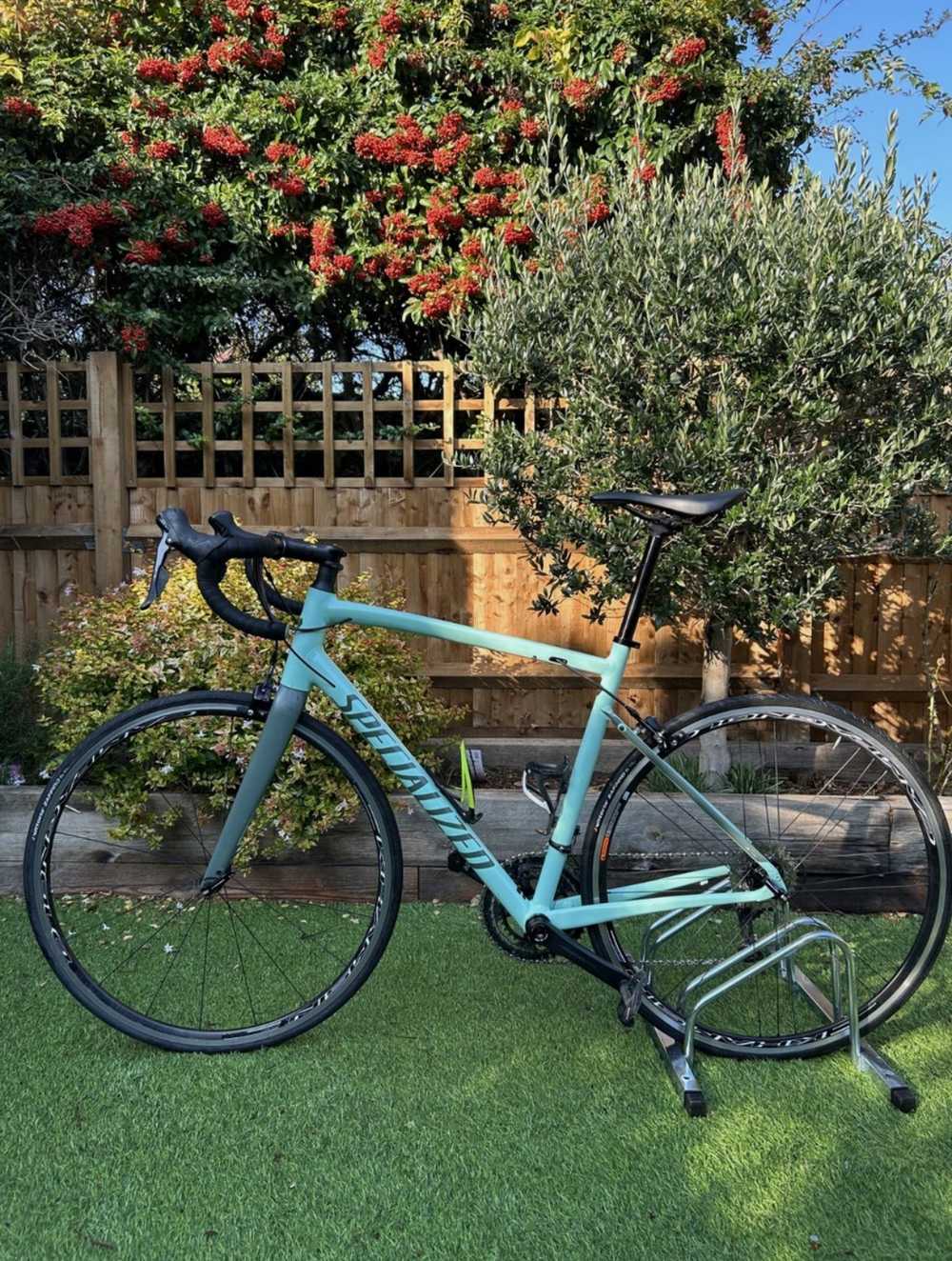 Specialized Allez Sprint Comp 2021