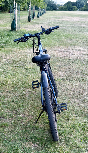 Tiger Customised 2025