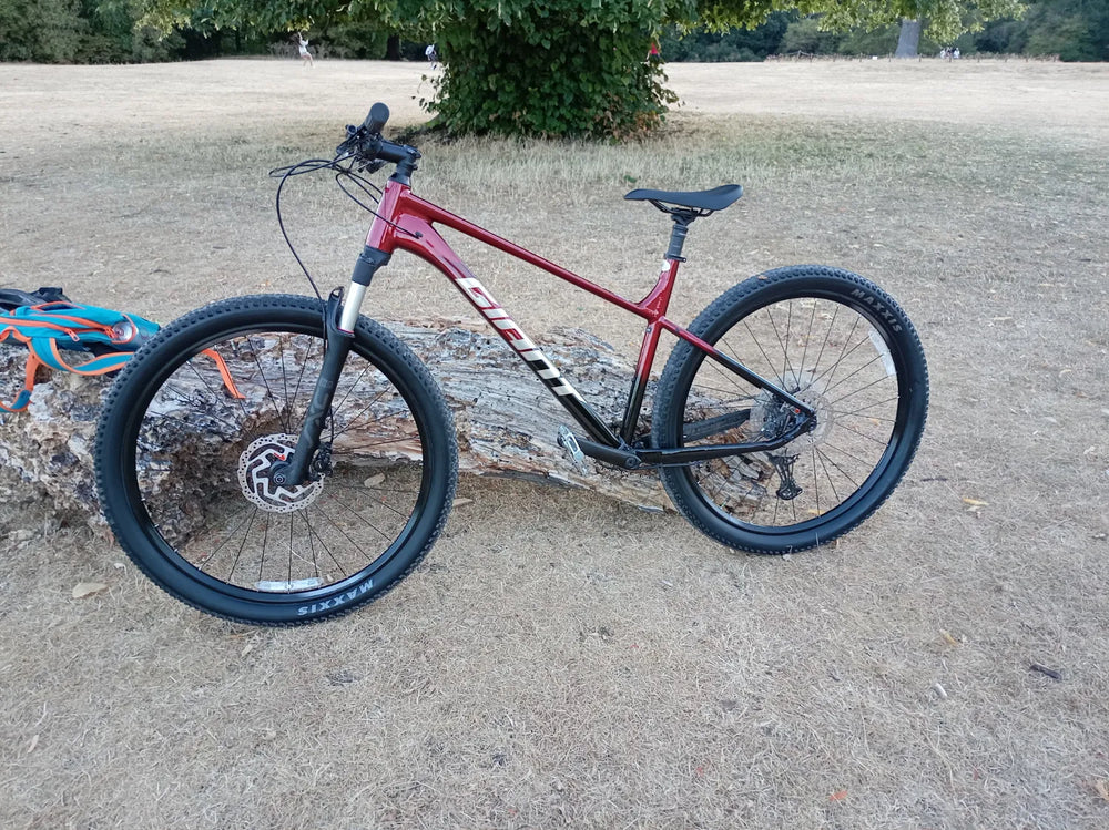 Giant Talon 0 - 29 Wheel - Mars Dust 2026