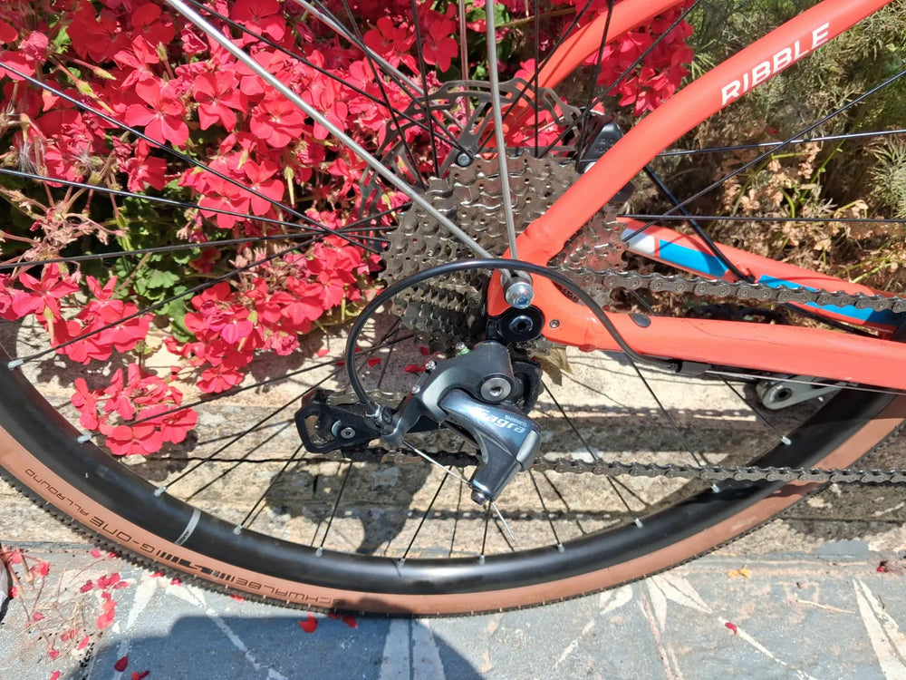 Ribble CGR AL - Sport, Shimano Tiagra 2025