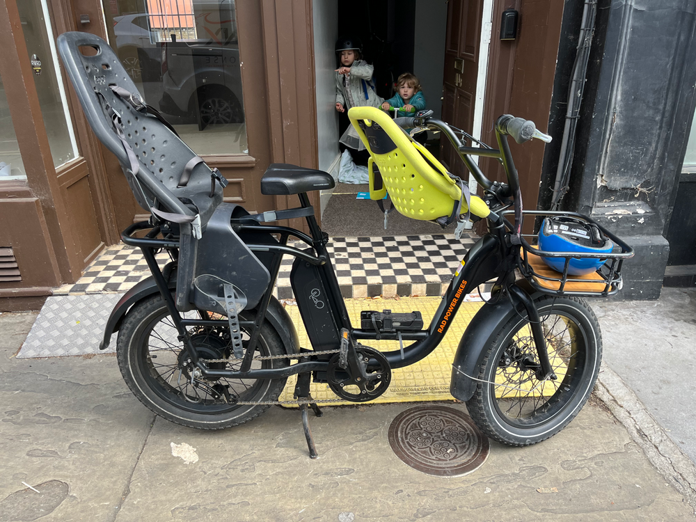 Rad Power RadRunner 2 Electric Utility 2022