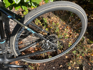 focus mares cx
